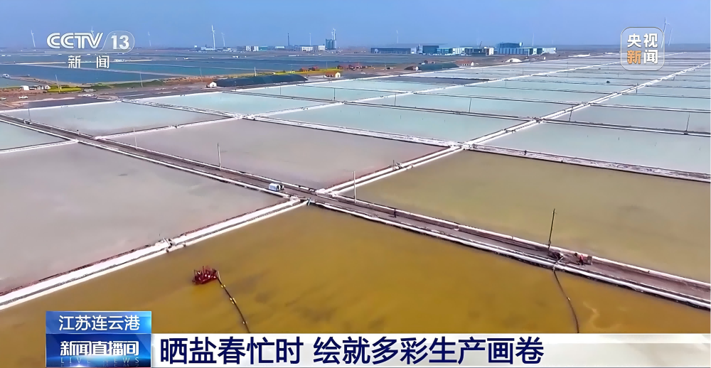 春季扒鹽忙(1)